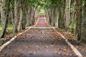 Chiedere la certificazione sulla proprietà delle arterie stradali cittadine